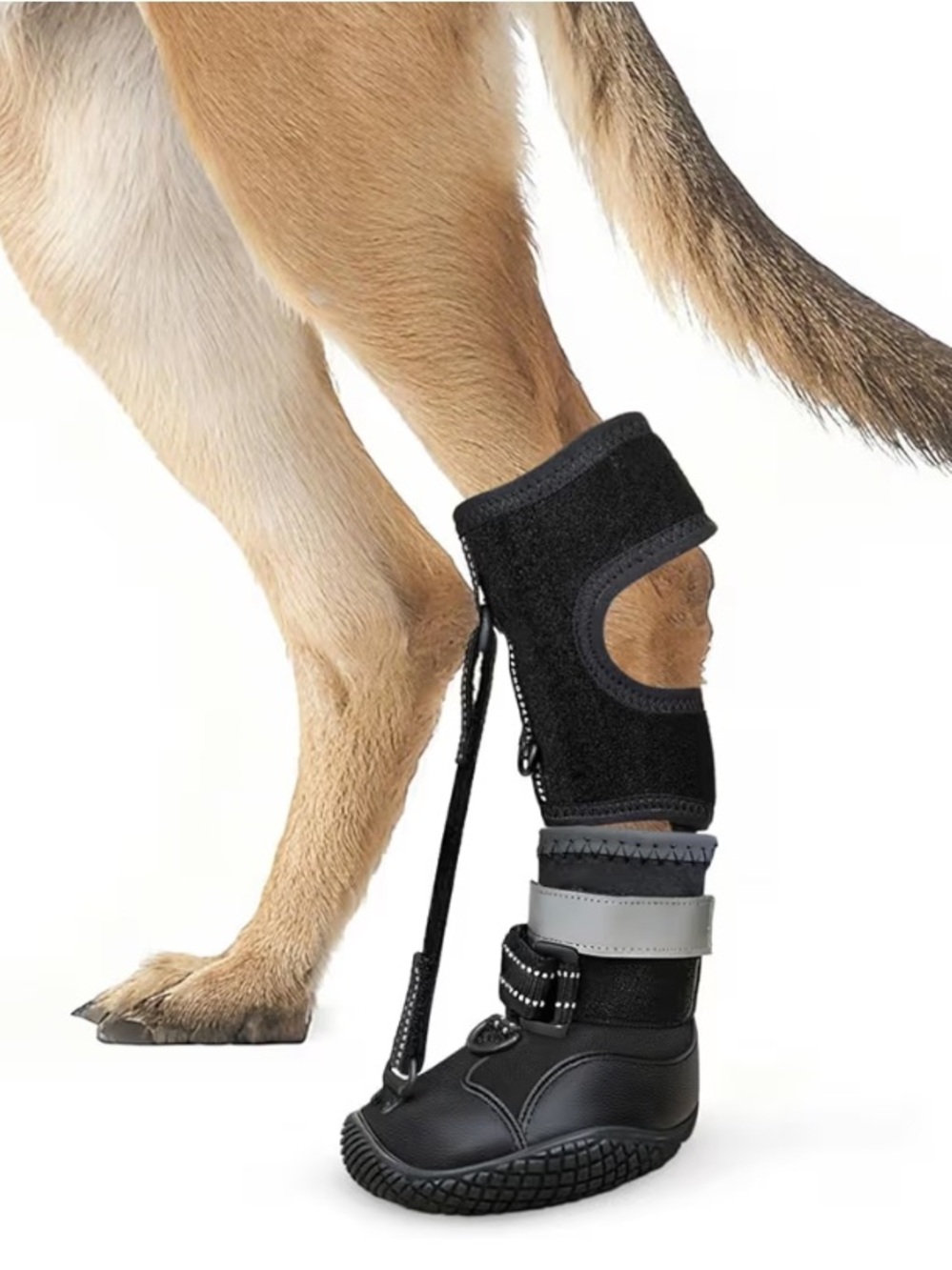 No Knuckling Dog Protective Leg Boot Brace